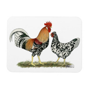 Islands Chickens Magnet