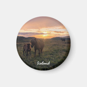 Islands häst - Landskapsmagnet Magnet