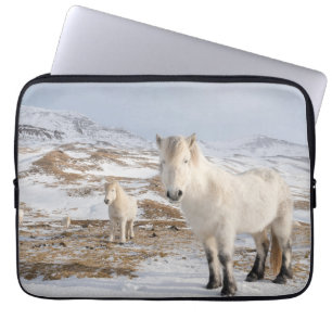 Islands Horse   Blonduos, Island Laptop Fodral