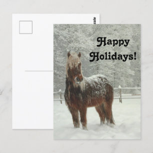 Islands Horse in Winter, Glad helg Photo Vykort