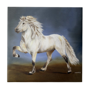 Islands Horse Nobility Kakelplatta