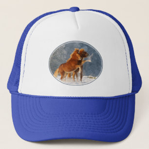 Islands Horses Foal Play i Snö Funny Photo Truckerkeps