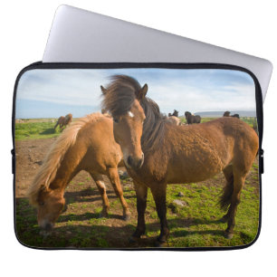 Islands Horses Graze Laptop Fodral