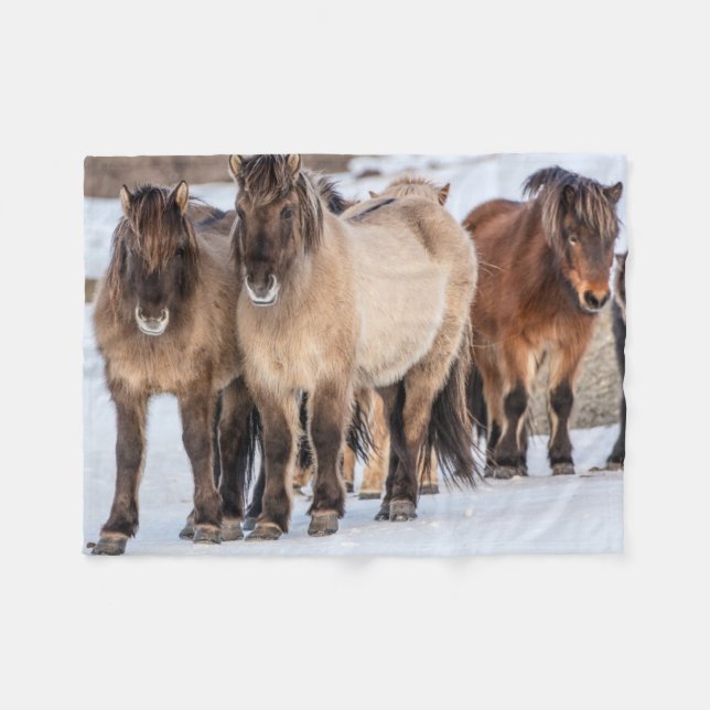 Islands Horses in Winter Near Hofn, Island Fleecefilt (Framsidan (Horisontell))