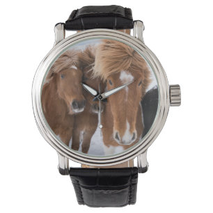 Islands Horses nuzzle, Island Armbandsur
