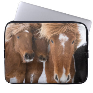 Islands Horses nuzzle, Island Laptop Sleeve