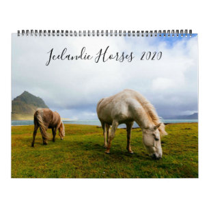 Islands Horses Wildlife Photography Anpassningsbar Kalender