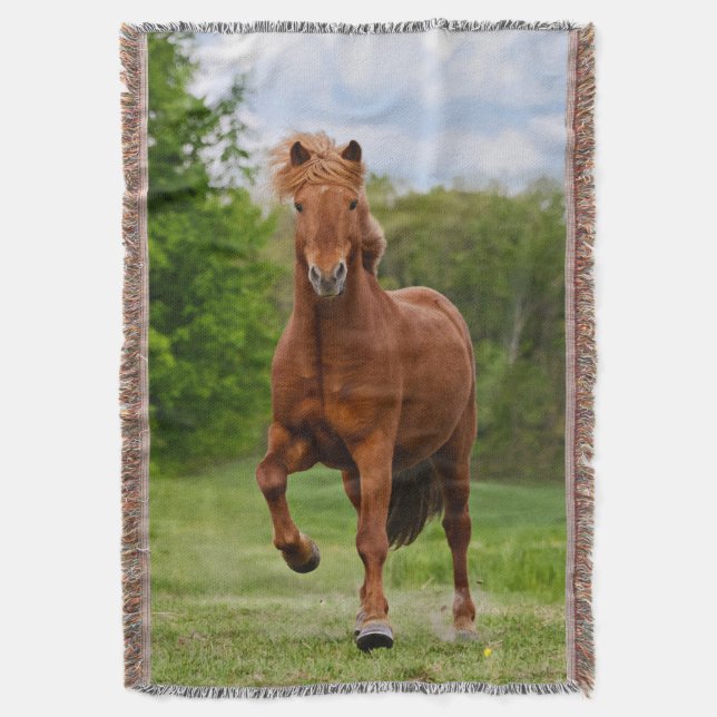 Islands Pony springa Tölt Funny Photo Horse Lovers Filt (Framsidan Vertikal)