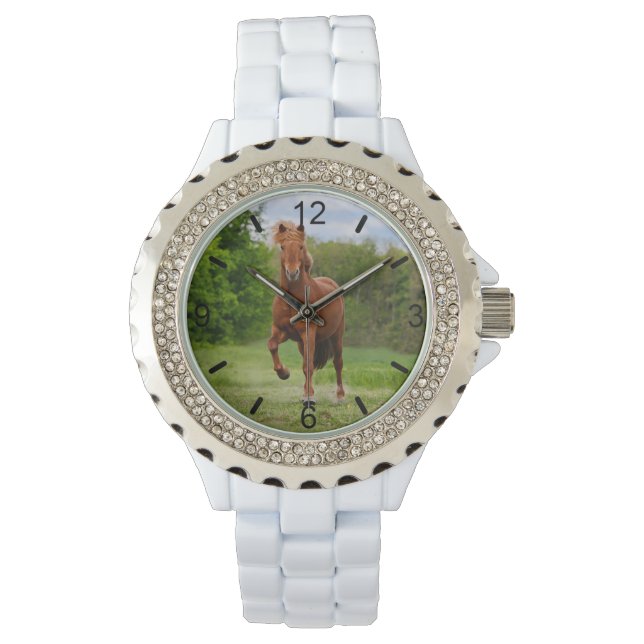 Islands Pony Tölt Funny Photo Horse Lovers ratten Armbandsur (Framsida)