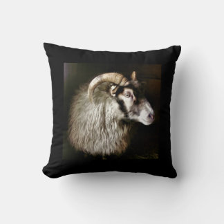Islands SHEEP FAITH Kudde