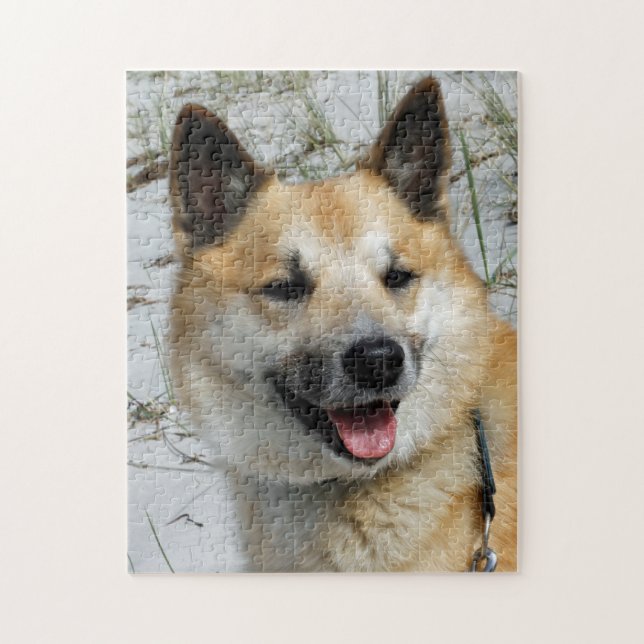 Isländsk fårhund 002 pussel (Vertikal)