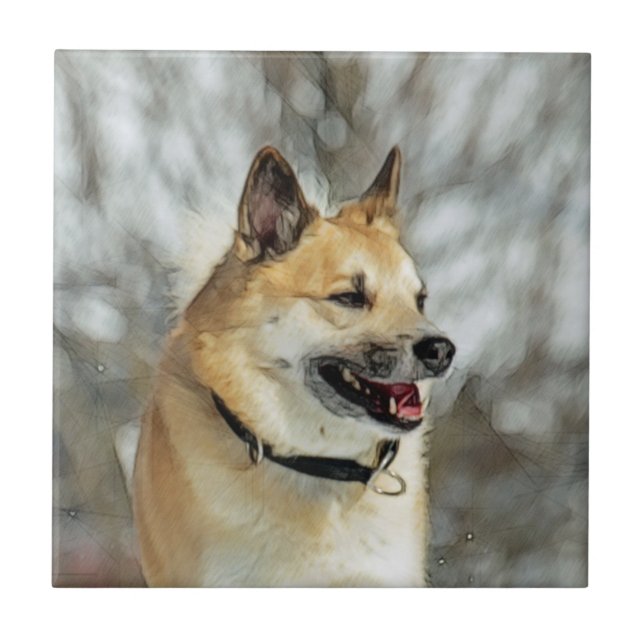 Isländsk fårhund 019 kakelplatta (Framsidan)