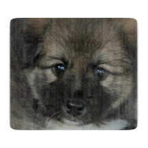 isländsk fårhund 2014-0808