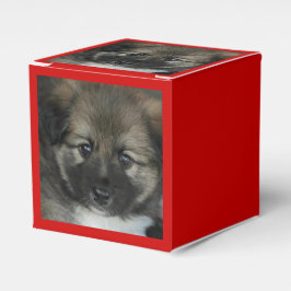 isländsk fårhund 2014-0808 presentaskar