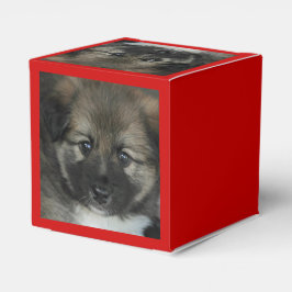 isländsk fårhund 2014-0808 presentaskar