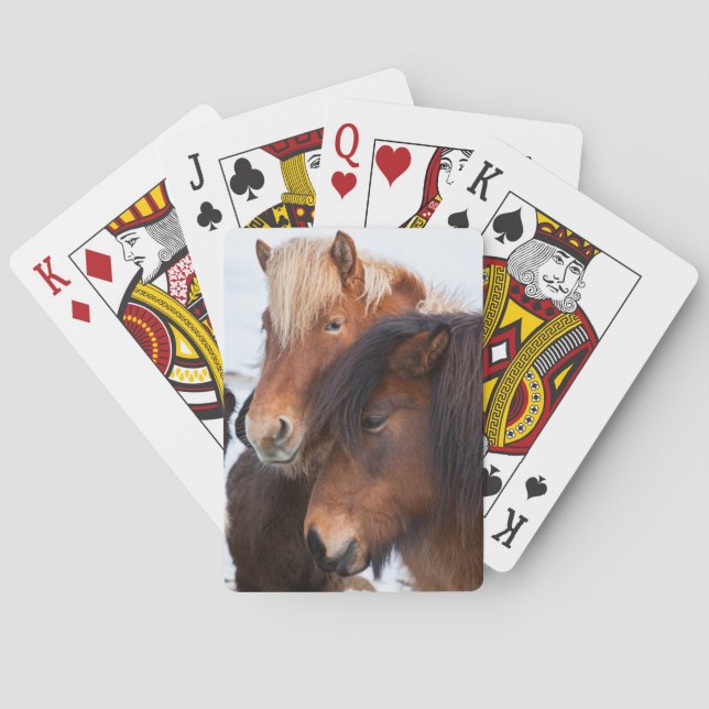 Isländsk häst under vinter på island 3 casinokort (Baksidan)