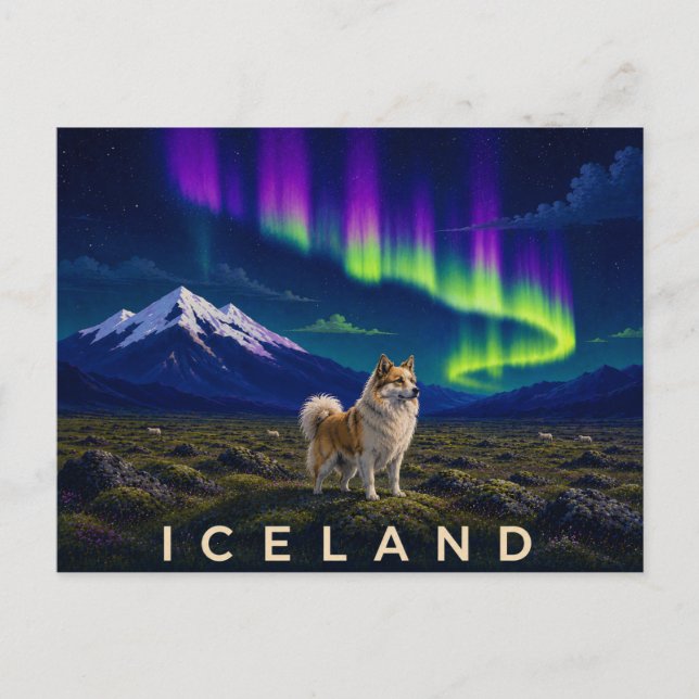 Isländsk vallhund under Aurora | Ikoniska Island Vykort (Framsida)