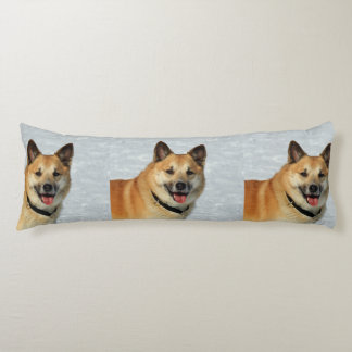 Isländska20150904 Kroppskudde