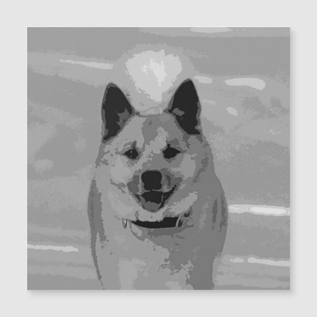 Isländska20151203 (Framsida)