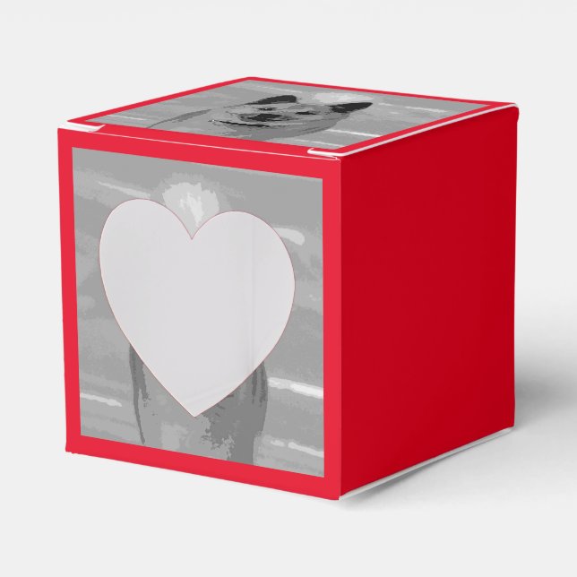 Isländska20151203 Presentaskar (Framsidan Sidan)