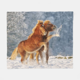 Isländska hästar Foal som spelas i Snö Funny Photo Fleecefilt