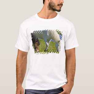Isländska hästar i västra Island. T Shirt