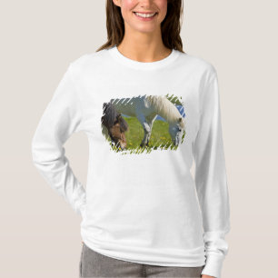 Isländska hästar i västra Island. Tee Shirt