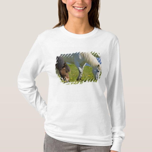 Isländska hästar i västra Island. Tee Shirt (Framsida)