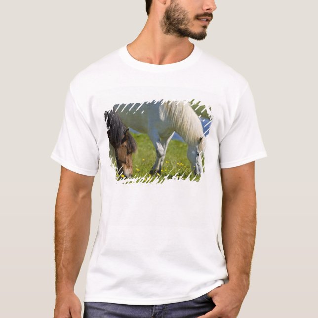 Isländska hästar i westernt Island. T Shirt (Framsida)