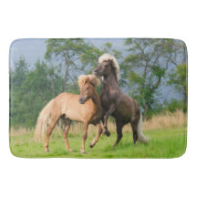 Isländska hästar leker och uppfödning