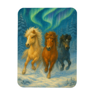 Isländska Hästar Norrskens Magnet