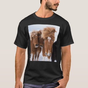 Isländska hästar nosar, Island T Shirt