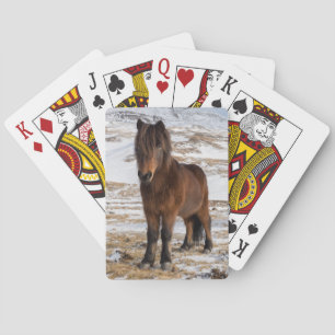 Isländska hästar på vintern spel kort