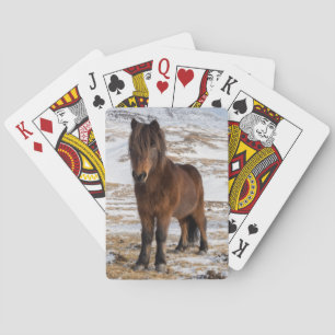 Isländska hästar på vintern spel kort