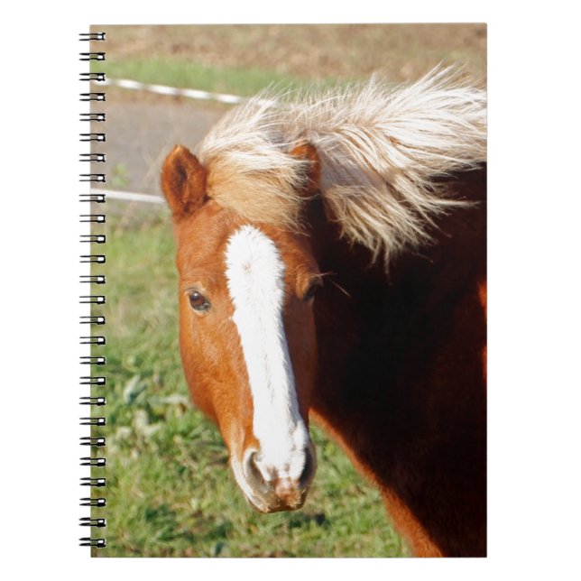 Isländska hästen 001 anteckningsbok (Framsidan)
