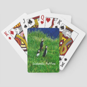Isländska puffins i sommar casinokort