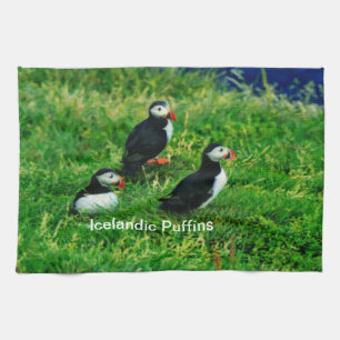 Isländska puffins i sommar kökshandduk