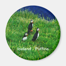 Isländska puffins magnet