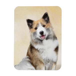 Isländskt fårhundsmålning - Originalkonst av Hund Magnet