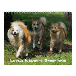 IslandsSheepdog 001 Kalender