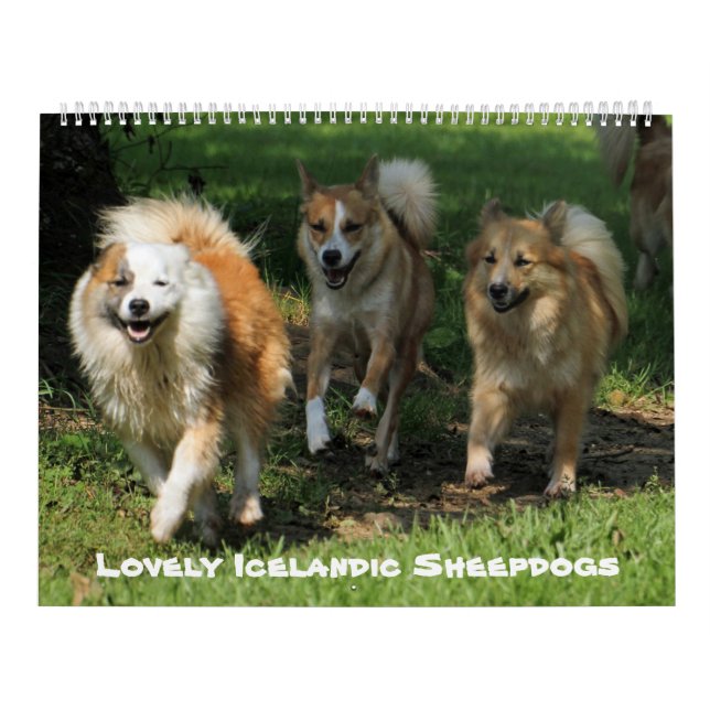 IslandsSheepdog 001 Kalender (Omslag)