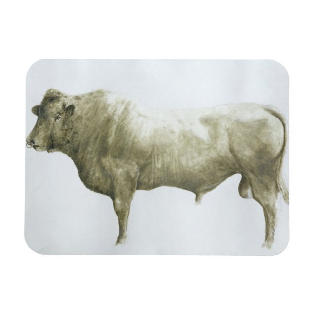 Islay Bull 2004 Magnet (Horisontell)