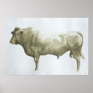 Islay Bull 2004 Poster