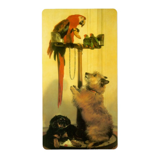 Islay, Tilco, Macaw och Love birds av Landseer Fraktsedel (Framsidan)