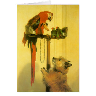 Islay, Tilco, Macaw och Love birds av Landseer Hälsningskort