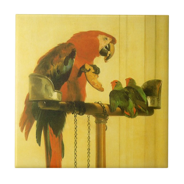 Islay, Tilco, Macaw och Love birds av Landseer Kakelplatta (Framsidan)