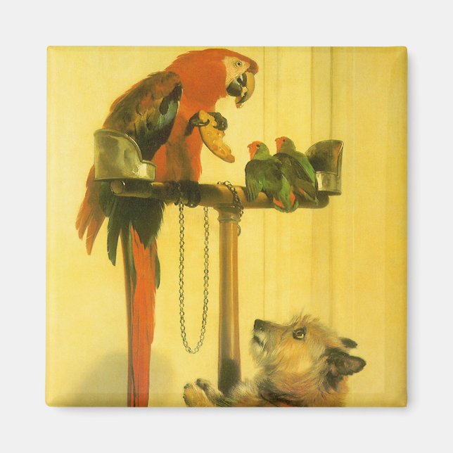 Islay, Tilco, Macaw och Love birds av Landseer Magnet (Framsidan)