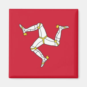 Isle av flagga för manmedborgarevärld magnet