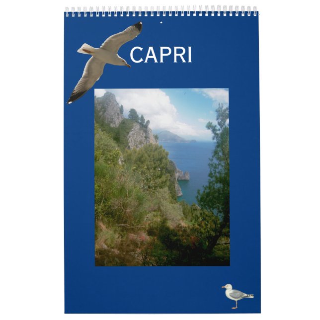 Isle of Capri Wall Calendar Kalender (Omslag)