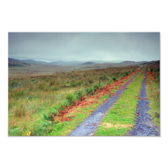 Isle of Jura track, Skottland Fototryck (Framsidan)